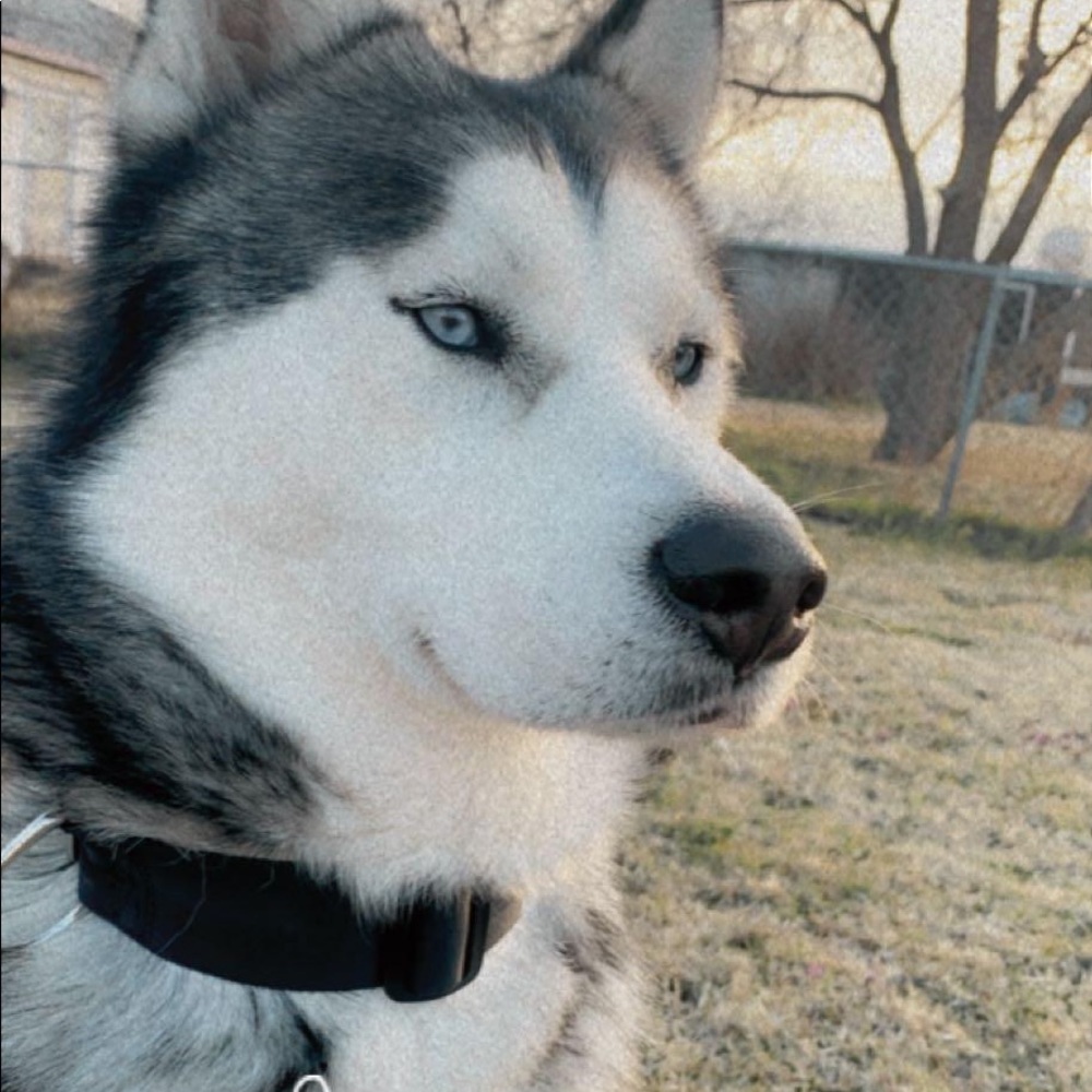 Meet your Posher, Levette